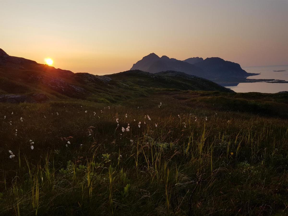 Villa Walter Lofoten With Sauna Kvalnes  Buitenkant foto