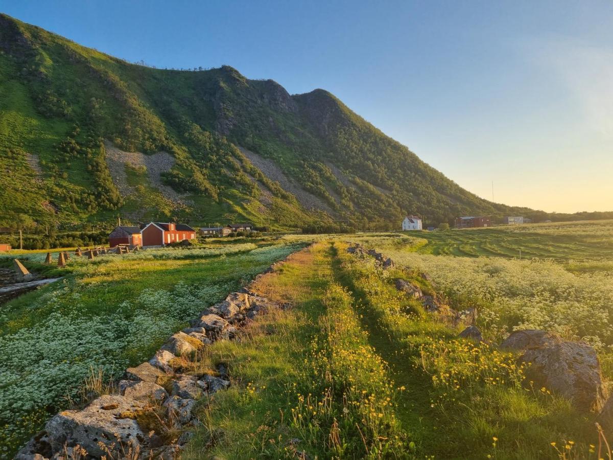 Villa Walter Lofoten With Sauna Kvalnes  Buitenkant foto