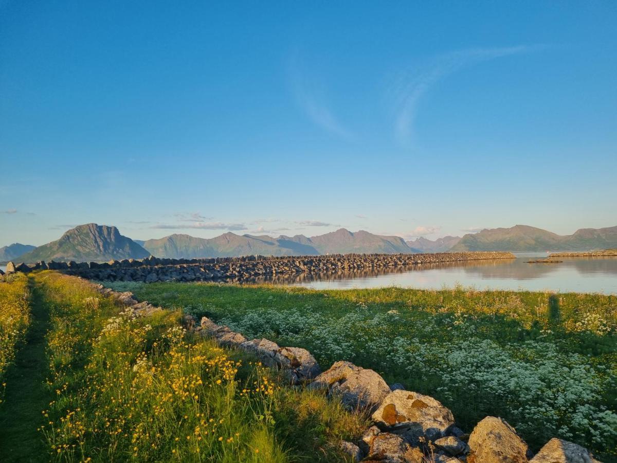 Villa Walter Lofoten With Sauna Kvalnes  Buitenkant foto