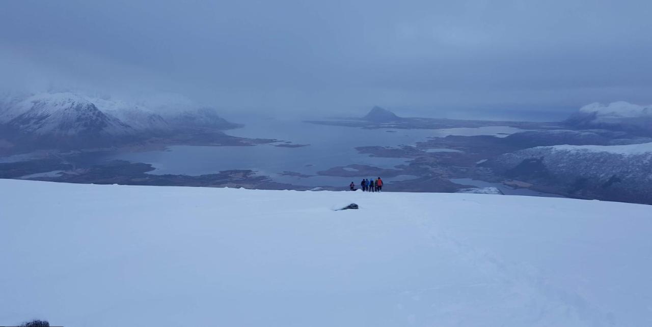 Villa Walter Lofoten With Sauna Kvalnes  Buitenkant foto