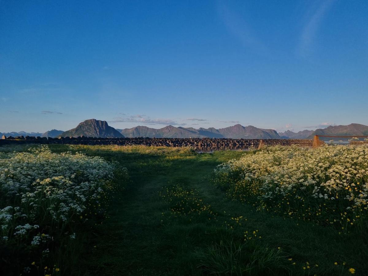 Villa Walter Lofoten With Sauna Kvalnes  Buitenkant foto
